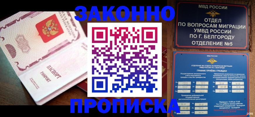 временная регистрация для школы в Дмитрове